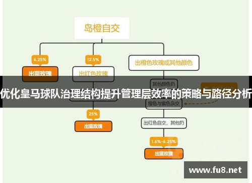 优化皇马球队治理结构提升管理层效率的策略与路径分析